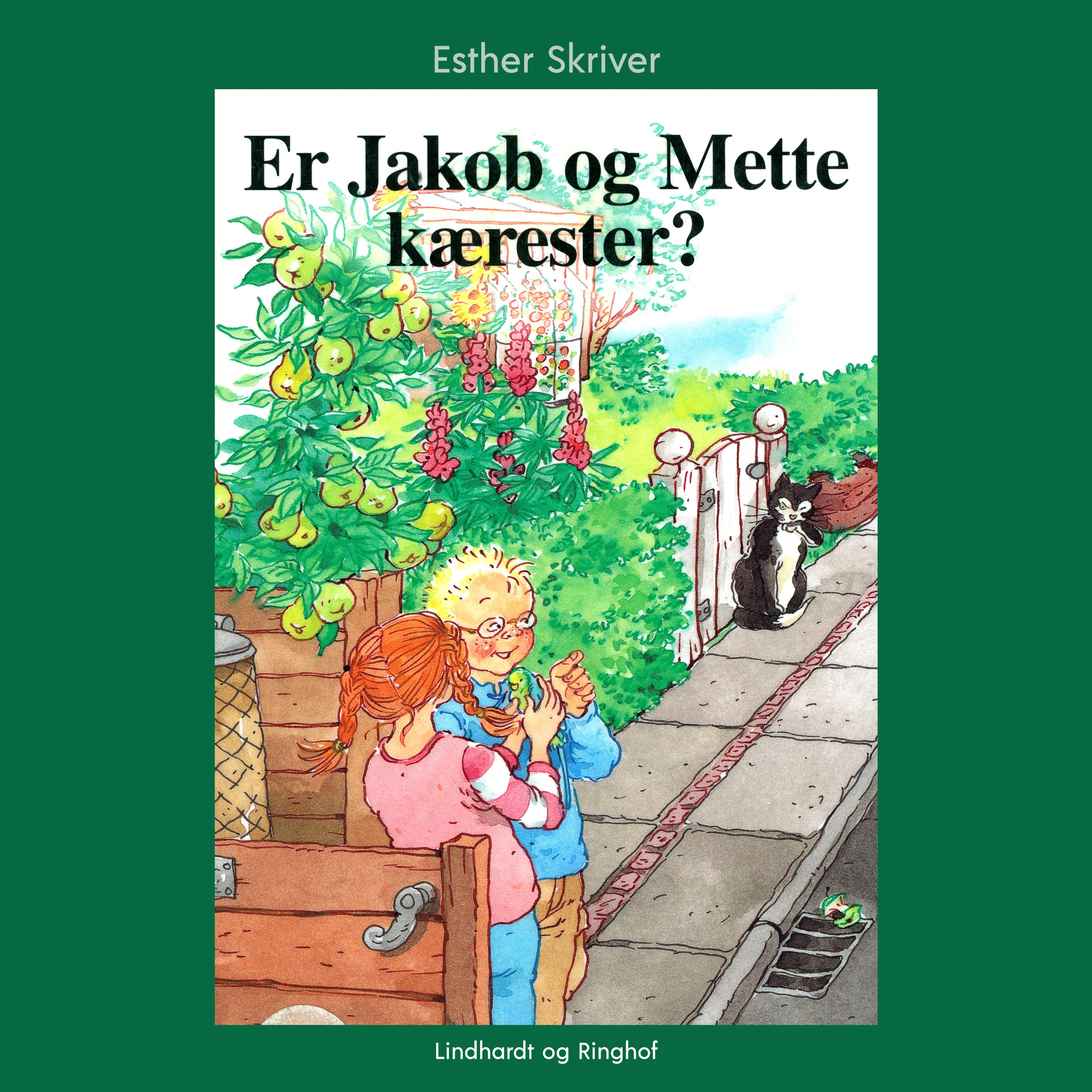 Forside billede